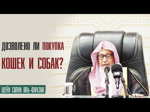 Шейх Салих аль Фаузан. Дозволено ли покупка кошек и собак?