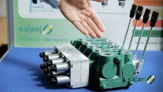 SalamiSpa VDP08 - distributeur load sensing electro-hydraulique proportionnel avec Joystick