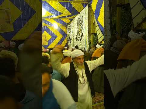 من مولد السيده نفيسه راضيه الله عنه