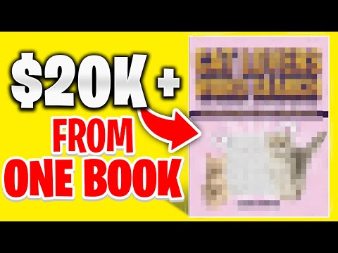 How I Made Big Money From 1 Book on Amazon KDP (Case Study)