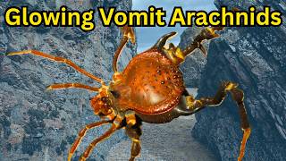 Giant Vomiting Harvestmen Of Argentina - Pachyloidellus Iath