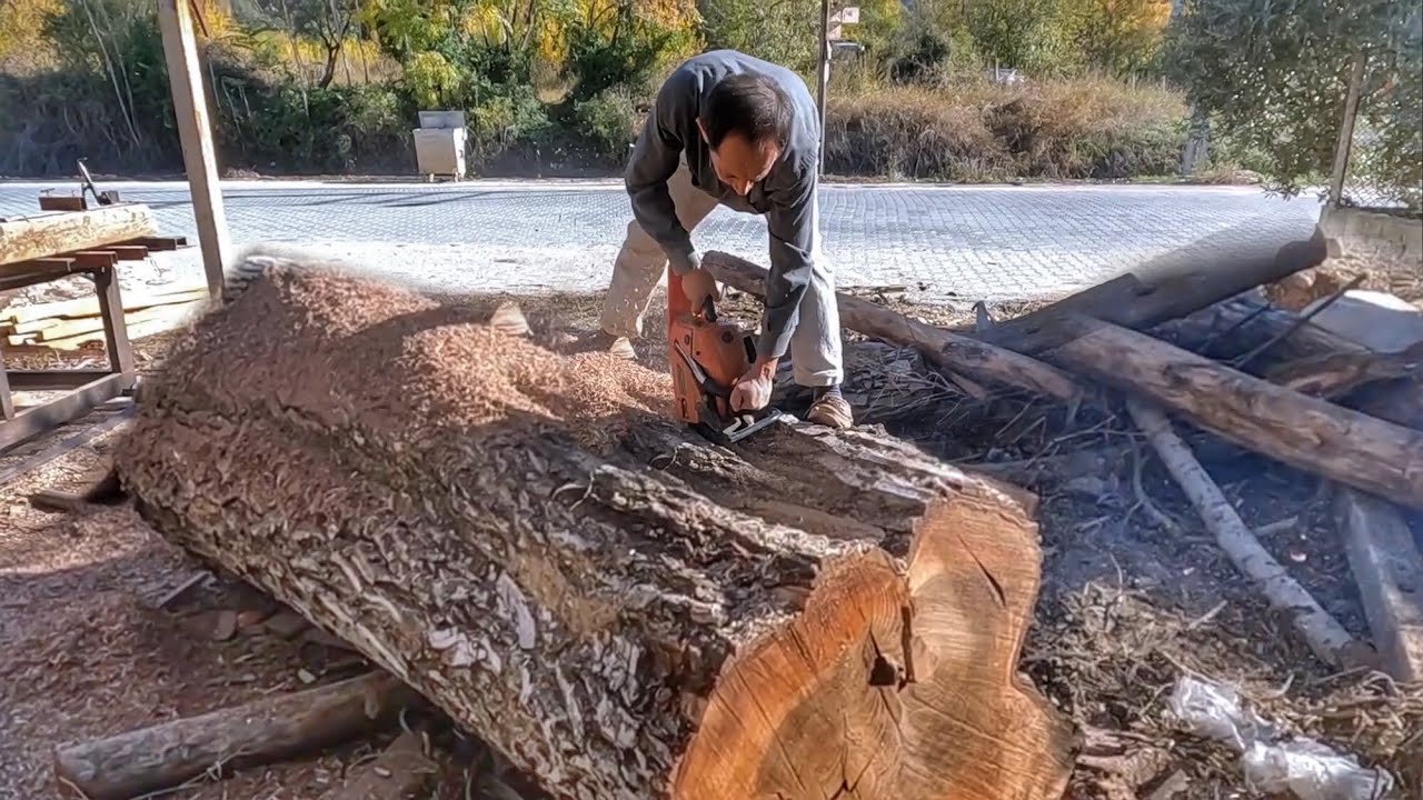 Çin Malı Motorlu Testere Ama Fena Kesmiyor !