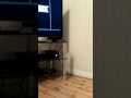 Madem Is On Xbox 1 Madem Is On Xbox 1