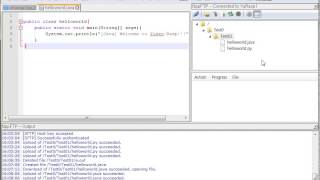 Notepad++ Test for Java and Python