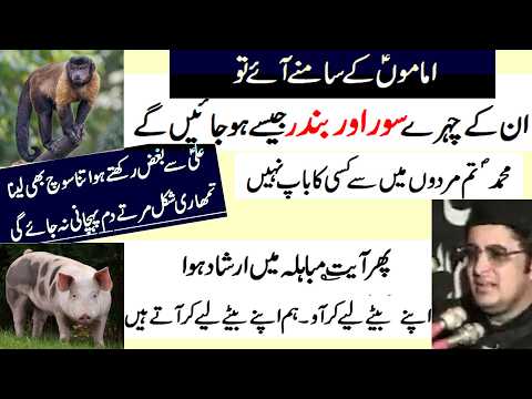 Allama Irfan Haider Abidi | Bandar