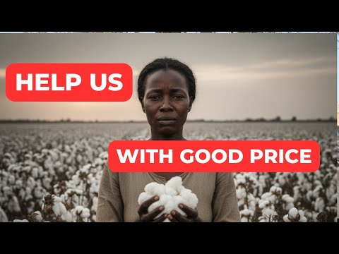 GOKWE ZVAKARE Taneta Ne Price Ye Cotton