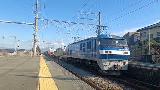 1093レ EF210-901　東田子の浦通過