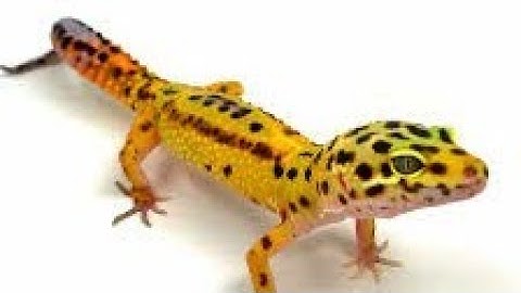 rain-oc color palette map part 3 @Emily Wardman