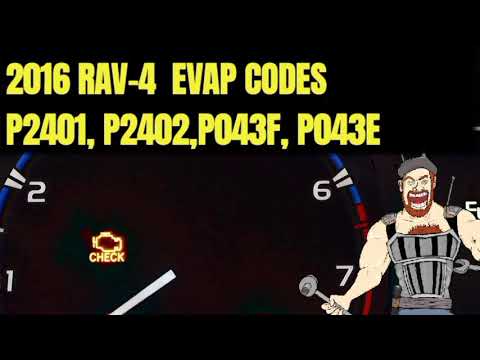 2016 RAV-4 EVAP CODES P2401, P2402, P043F, P043E