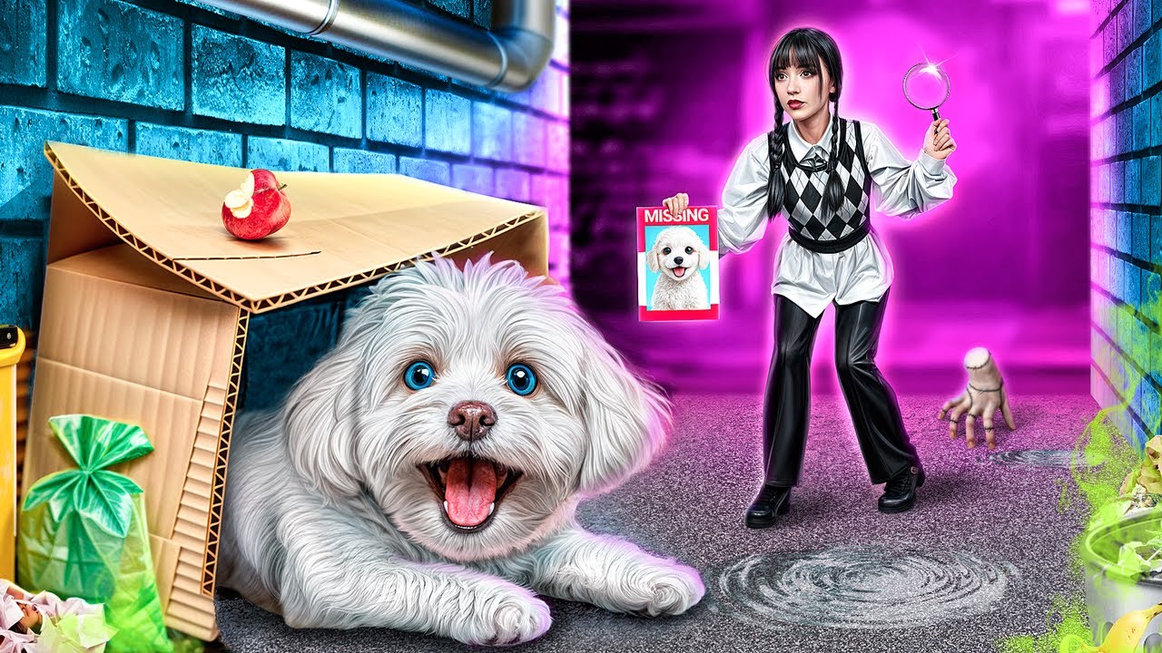 Mein Hund ist weg! Labubu und Wednesday haben den kleinen Hund Gerettet