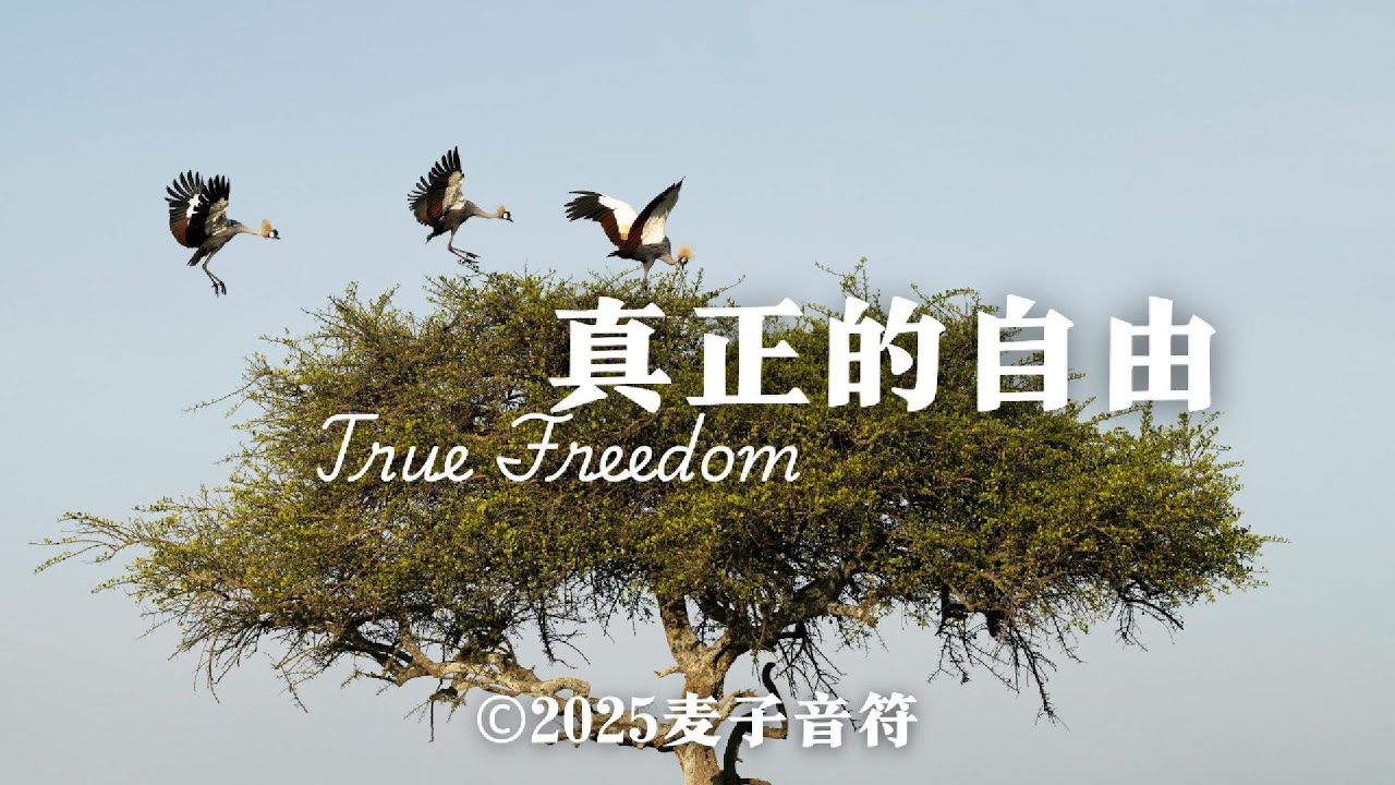 真正的自由 | 一首温柔的诗歌，唱给那些渴望自由却又存有疑问的心灵，帮助我们看见：唯有在基督里，才有真正自由。