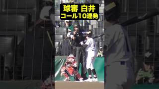 球審・白井のコール10連発！ #トクサンtv #野球 #プロ野球 #球審 #白井球審 #shorts