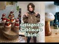 Cottagecore and Goblincore tiktoks!!