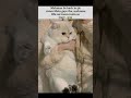 room#mehmaan#comedy#explore#popular#funny memes#aesthetic#viralshort#trending#shortfeed#lofi music