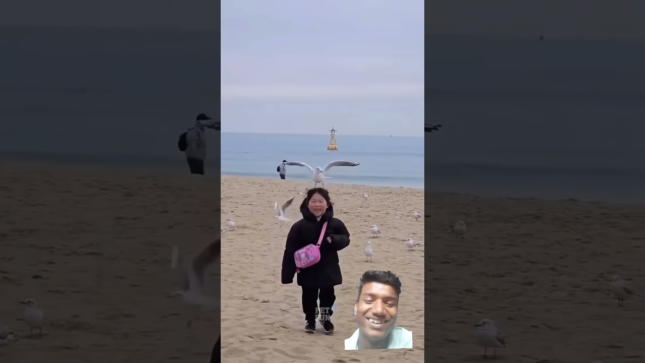 funny animals compilation 🤣😅 