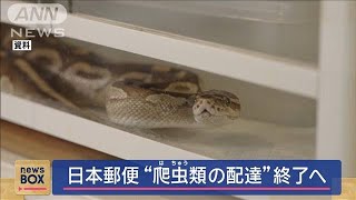 日本郵便 “爬虫類の配達”終了へ【スーパーJチャンネル】(2025年1月21日