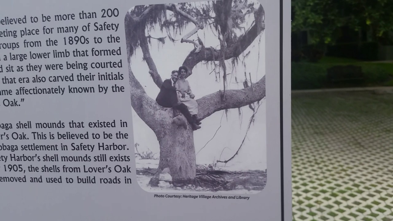 Safety Harbor Historical Lovers Oak YouTube