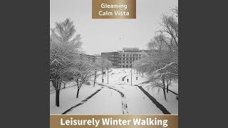 Snowy Path Traces