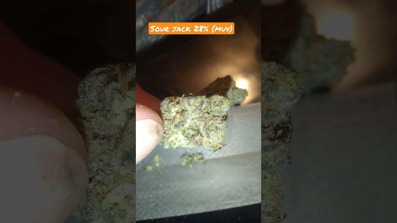 sour jack 28%(muv)