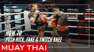 Muay Thai How To Push Kick, Fake & Switch Knee