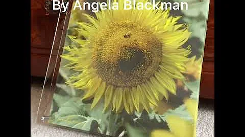 Tuscan Sunflower Original 3D artwork by Angela Bla...