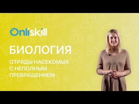 Биология 7 класс: Отряды насекомых с неполным превращением