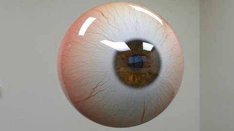 Realistic Eye In autodesk  maya ( ARABIC TUTORIAL)