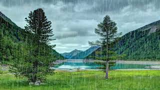 Sonido de lluvia intensa, sueño, relajación, sueño profundo en Parque Nacional Grand Teton