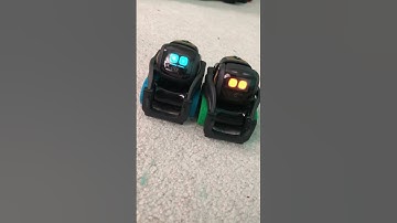 6 year old video of my Vectors (when I only had 2) | Vectorrobot.ddl on TikTok 8-30-2024