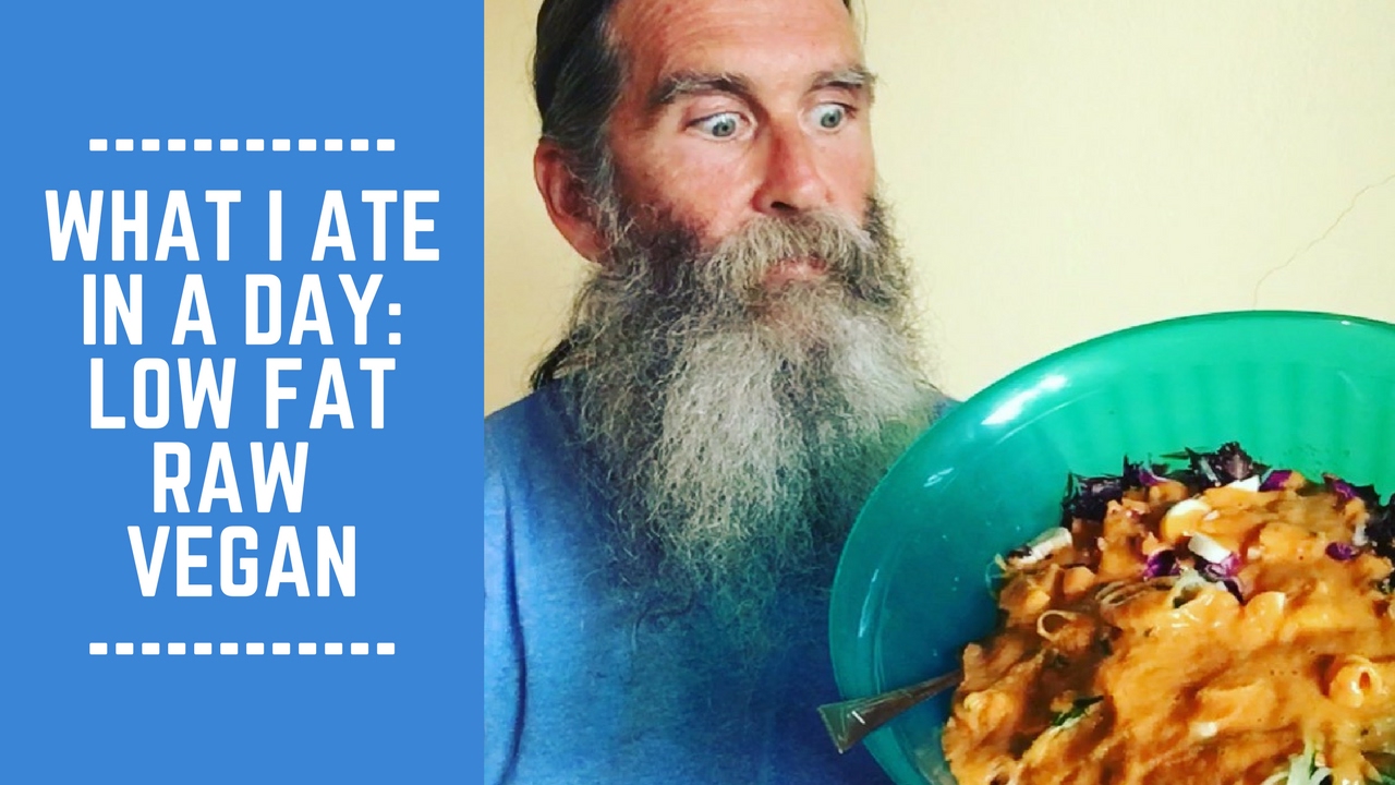What I Ate in a Day: Low Fat Raw Vegan