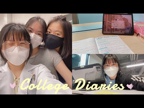 🫧College Diaries🏷productive week, mocks preparation,上学日常🌱