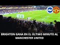 Brighton gana en el ltimo minuto al manchester united  brighton 10 manchester united   vlog goal