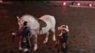 P-2 Horseshoe Point Jumping Leaping Lusitano stallions