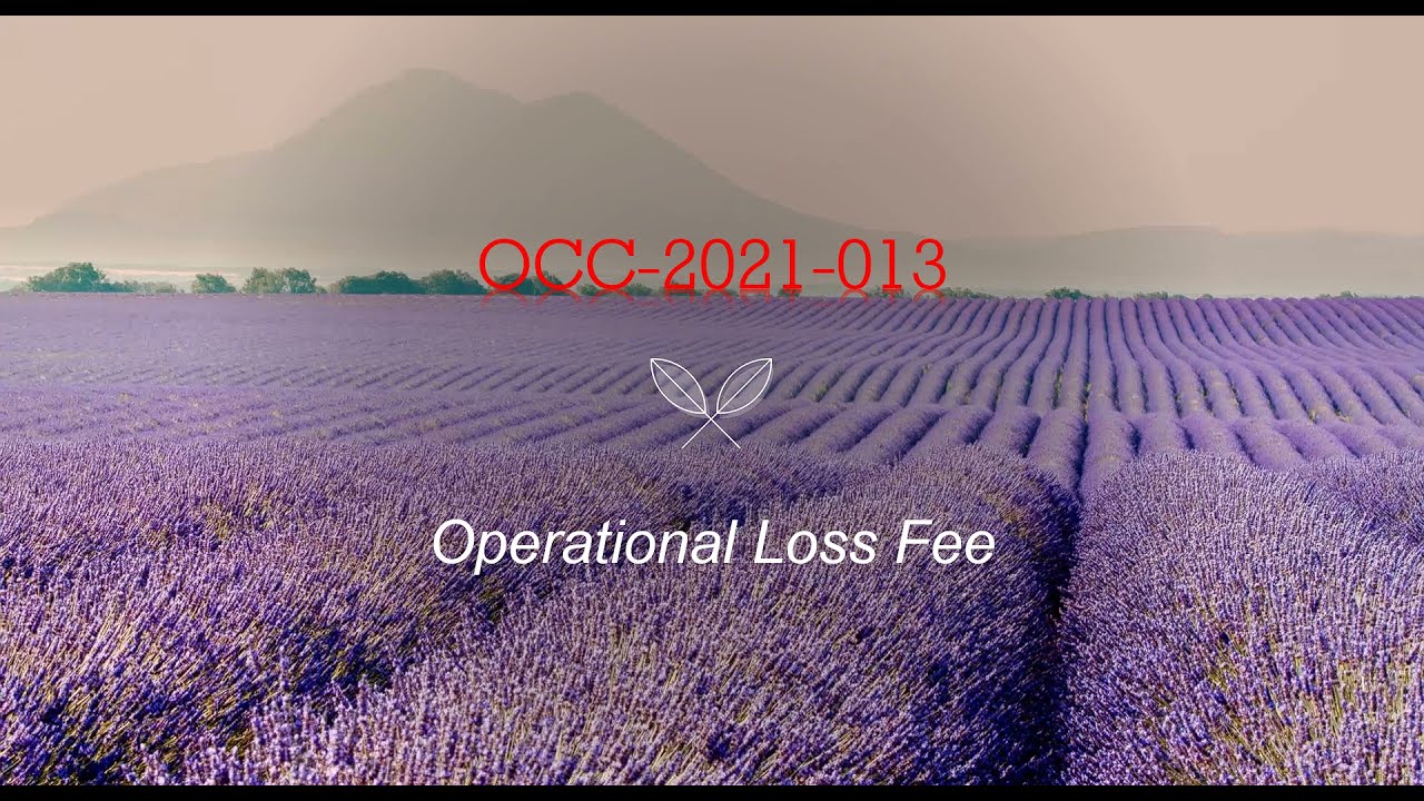 OCC-2021-013 | Equity Recovery / Operational Loss - YouTube