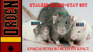 Stalker Online Война Против Крыс В Stay Out