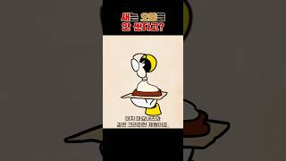 새똥은 있는데 새오줌은 없는 이유