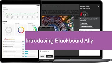 Introducing Blackboard Ally
