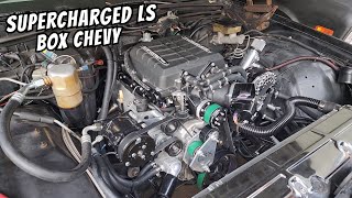 Bought DIRT CHEAP &quot;Cateye&quot; Chevy ➕️ Supercharged OBS &amp; Box Chevy