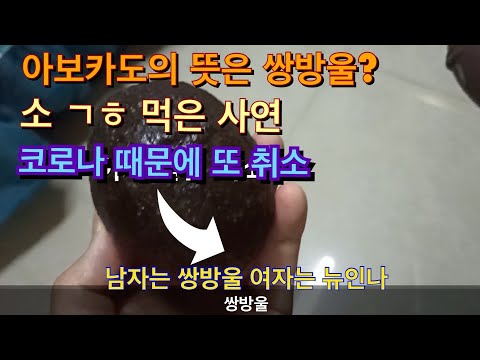 코로나 때문에 또 비행기 취소,아보카도의 뜻은? 멕시코 순대 먹방, 과카몰레 살사 만들기, 소특수부위요리