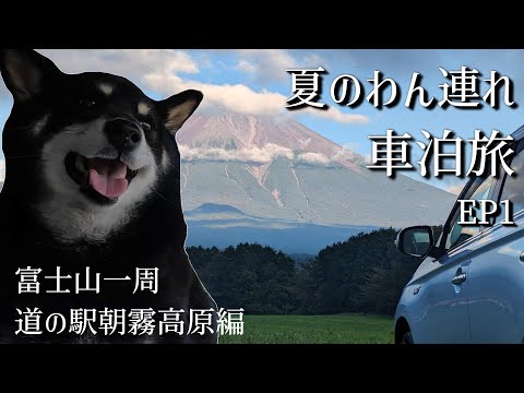 【わん連れ車泊旅】富士山一周車泊旅地場産のチーズで車内飯と散歩三昧in朝霧高原