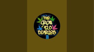 Let’s see what’s going on in the garden 🪴 11-9-25