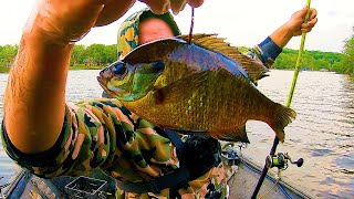 HOW To Catch More Flathead Catfish In The Spring!