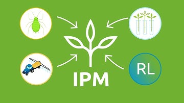 Shape The Future animated – Cereals and Oilseeds sector priority B