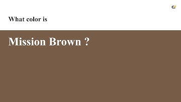 Mission Brown color #775c47 hex color - Brown color - Cool color 775c47