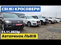 СВІЖІ КРОСОВЕРИ /// Львівський авторинок /// 11 листопада 2023 р. #автопідбір #автобазар