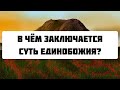 В чем заключается суть единобожия? || Ринат Абу Мухаммад