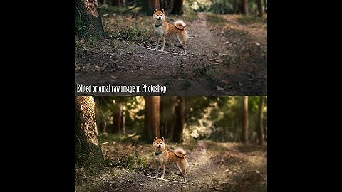 How To Make Sun Rays in Capture One