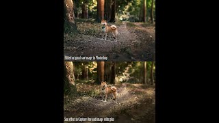 How To Make Sun Rays in Capture One