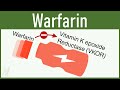 Warfarin (Vitamin K Antagonists): Pharmacology
