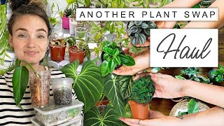 Another Plant Swap HAUL + Vlog  Huge House Plant Swap Haul
